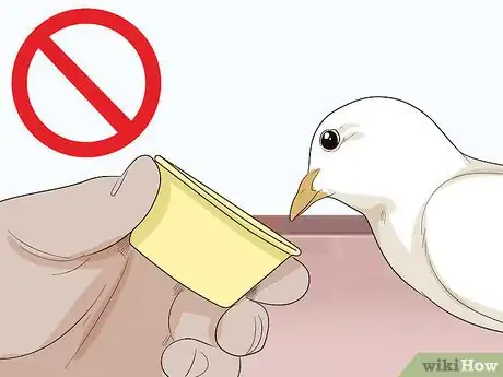 Image titled Treat Pneumonia in Doves Step 11