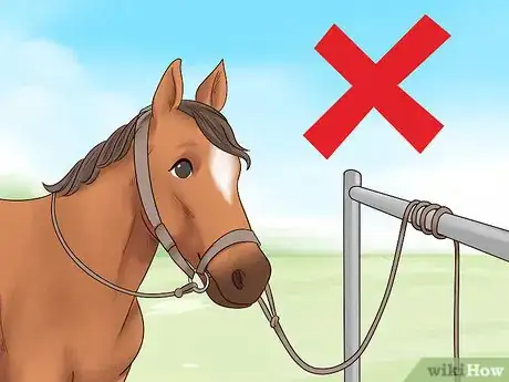 Image titled Train Your Horse for the Farrier Step 4