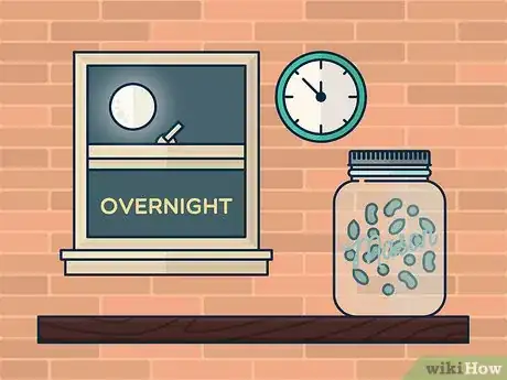 Image titled Grow Bean Sprouts Indoors Step 4