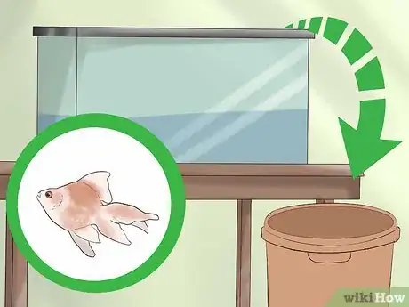 Image titled Transport Fish Step 7