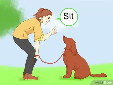 Image titled Treat Depression in Dogs Step 4