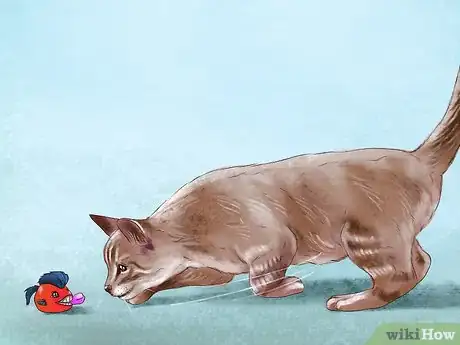 Image titled Find Your Cat's Preferred Play Style Step 1