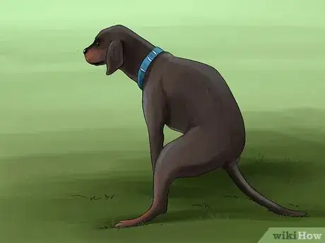 Image titled Train a Manchester Terrier Step 14