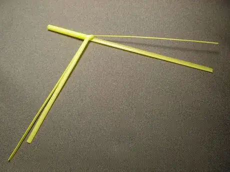 Image titled Shachi10_891.JPG