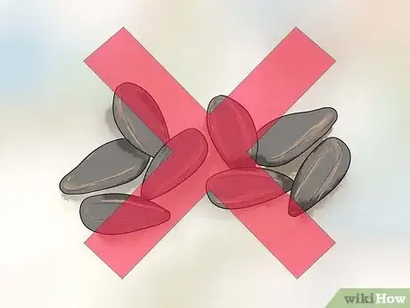 Image titled Keep Cockatiels Healthy While Breeding Step 5