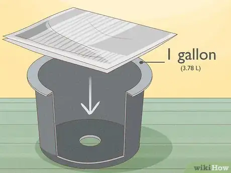 Image titled Grow Leeks from Leeks Step 7