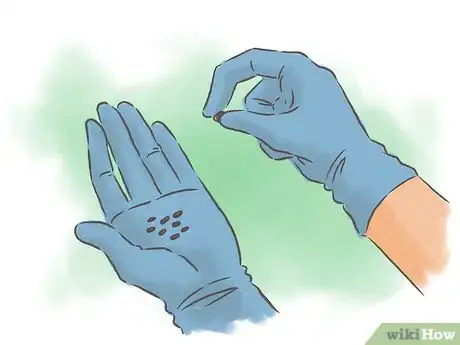 Image titled Grow Passion Fruit Step 4