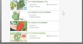 Have a Sustainable Garden in Saudi Arabia