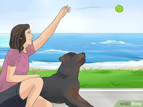Image titled Care for Rottweilers Step 11