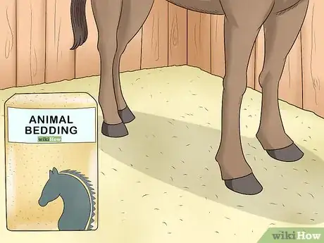 Image titled Treat Grease Heel in Horses Step 10