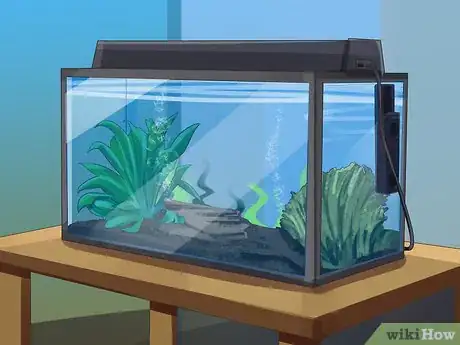 Image titled Start a Saltwater Aquarium Step 10