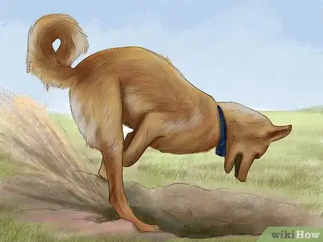 Image titled Choose a Dog Fence for Your Yard Step 11