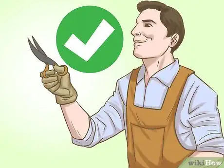 Image titled Grow Finger Limes Step 12