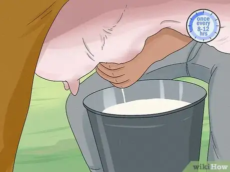 Image titled Increase Dairy Milk Production Step 10
