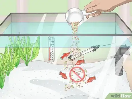Image titled Prevent Fish From Getting Sick Step 14