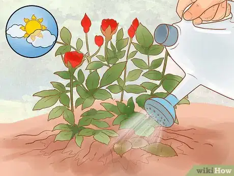 Image titled Grow Roses Organically Step 4