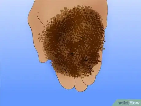 Image titled Grow Ornamental Flowering Kale Plants Step 4