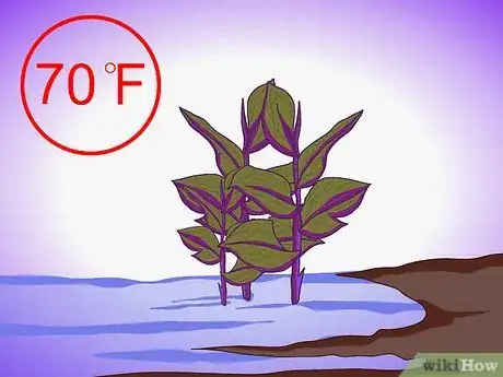 Image titled Plant Aquatic Plants Step 21