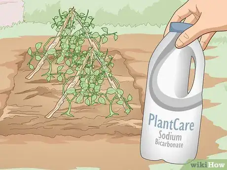 Image titled Use Organic Pesticides for Gardening Step 5