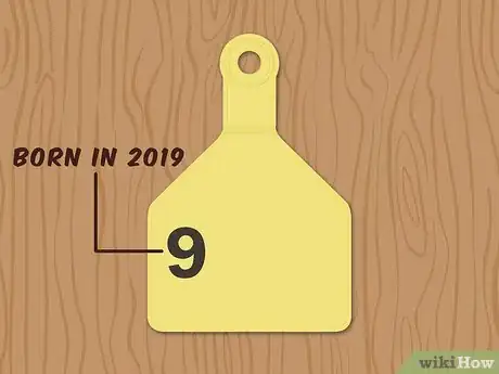 Image titled Write Cattle Ear Tags Step 1