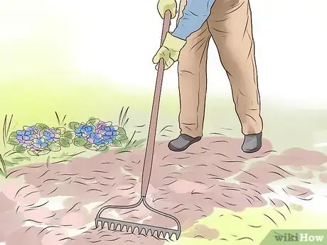Image titled Control Wild Violets Step 11