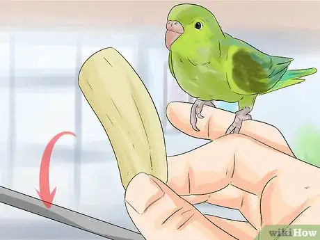 Image titled Perch Train Your Parakeet Step 3