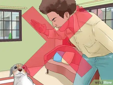 Image titled Show Your Dog Where He Is in the Pack Step 4