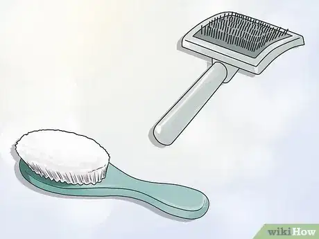 Image titled Groom a Silky Terrier Step 1