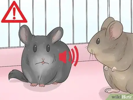 Image titled Keep Chinchillas Safe from other Pets Step 5