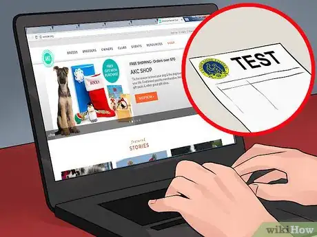 Image titled Become Close With Your Dog Step 14