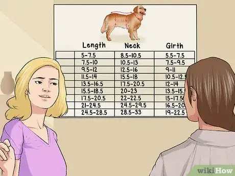 Image titled Buy Bling for a Dog Step 13