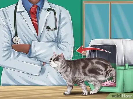 Image titled Make Vet Visits Less Stressful for Your Cat Step 14