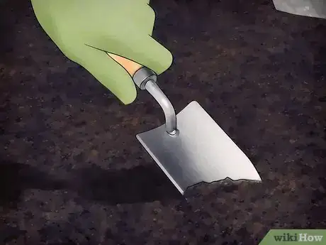 Image titled Plant a Fall Vegetable Garden Step 8