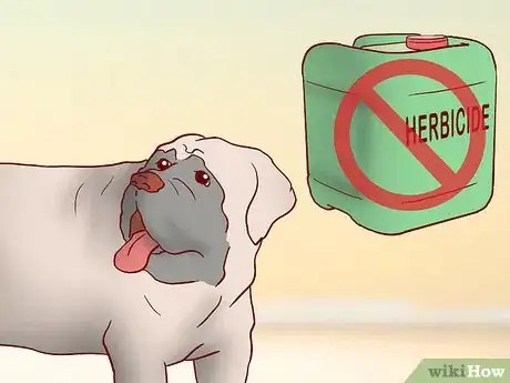 Image titled Educate Yourself As a New Dog Owner Step 8