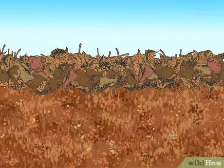 Image titled Mulch Leaves with a Lawn Mower Step 4