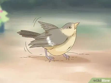 Image titled Help a Fallen Fledgling Step 3
