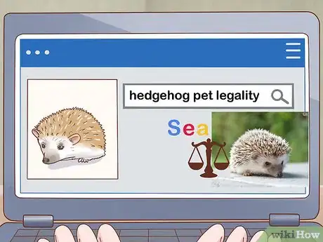 Image titled Take Care of a Hedgehog Step 1