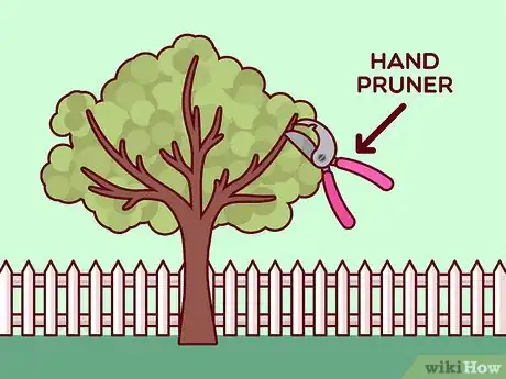Image titled Do Basic Dormant Season Pruning Step 3