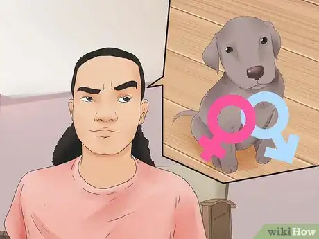 Image titled Choose a Puppy Step 9