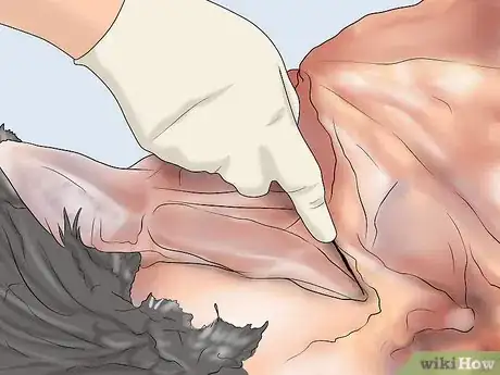 Image titled Dress a Turkey Step 13