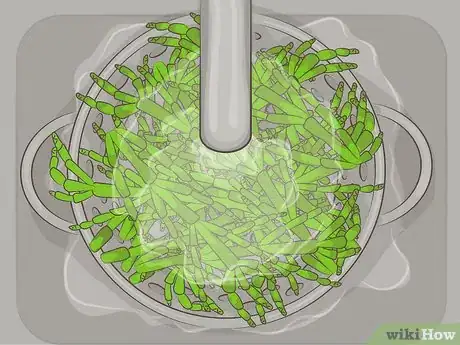 Image titled Cook Sea Asparagus Step 1