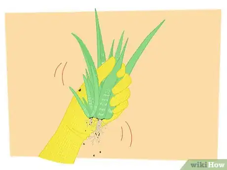 Image titled Propagate Your Plants Step 2
