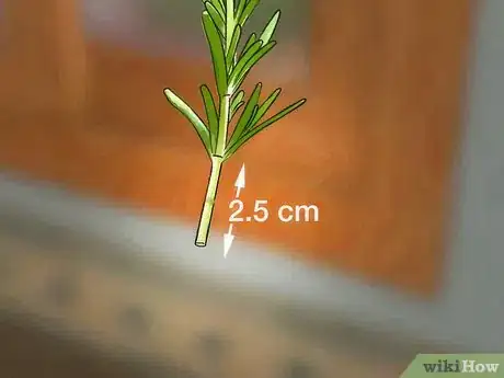 Image titled Grow an Indoor Herb Garden Step 17