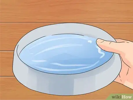 Image titled Care for Bulldogs Step 14