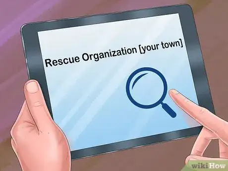 Image titled Adopt a Cat Through a Rescue Organization Step 1