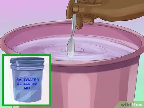 Image titled Start a Saltwater Aquarium Step 18