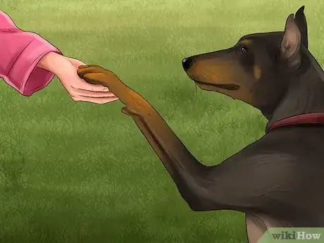 Image titled Train a Manchester Terrier Step 12