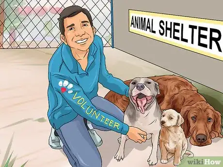 Image titled Help Shut Down Puppy Mills Step 12