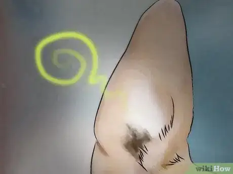 Image titled Prevent Canine Ear Mites Step 8