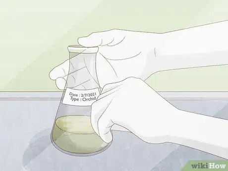 Image titled Grow Orchids from Seeds Step 12